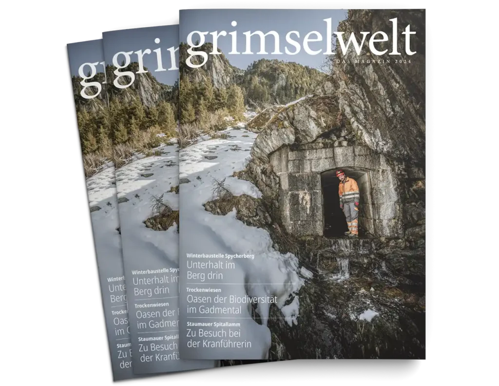 agentur01bern-grimselwelt-magazin1